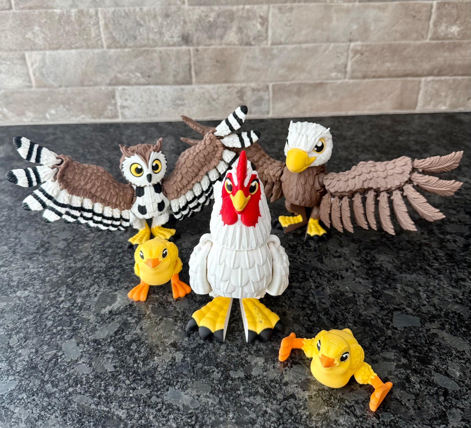 Birds